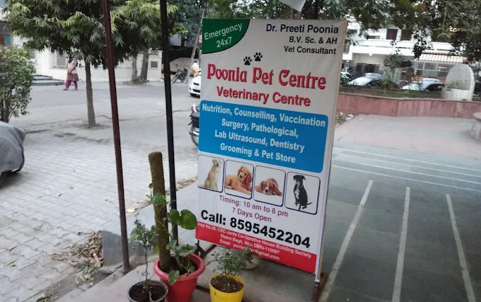 Dr. Poonia Pet Centre - Pet Clinic in Vikaspuri, Delhi