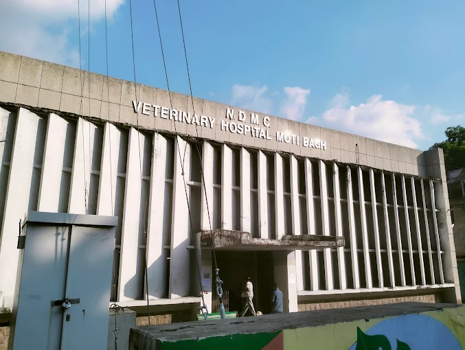 Veterinary Hospital NDMC - Pet Clinic in Moti Bagh, Delhi