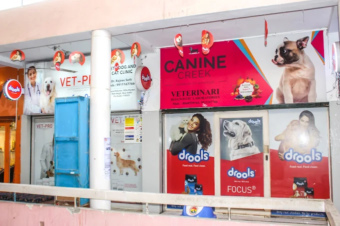 Seth Dog And Cat Clinic - Pet Clinic in Anand Niketan, Delhi