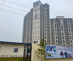 AVC Multispeciality Pet Hospital - Pet Clinic in Sector 90, Gurugram