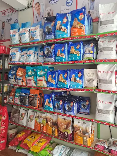 Pet Vet Care, East Kidwai Nagar Veterinary Clinic in East Kidwai Nagar, Delhi — Facility Photo 3