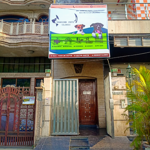 Pawsome Pets Clinic ️, West Punjabi Bagh - Pet Clinic in West Punjabi Bagh, Delhi