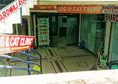 Dog and Cat Clinic, Malviya Nagar - Pet Clinic in Malviya Nagar, Delhi