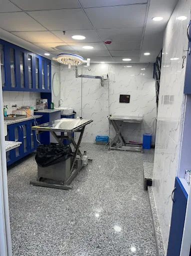 Metro Pet Hospital, Sector 99 Veterinary Clinic in Sector 99, Gurugram — Facility Photo 4