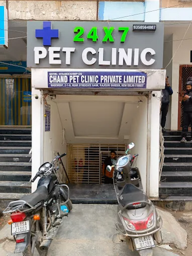 24x7 Pet Clinic, Rajouri Garden - Pet Clinic in Rajouri Garden, Delhi