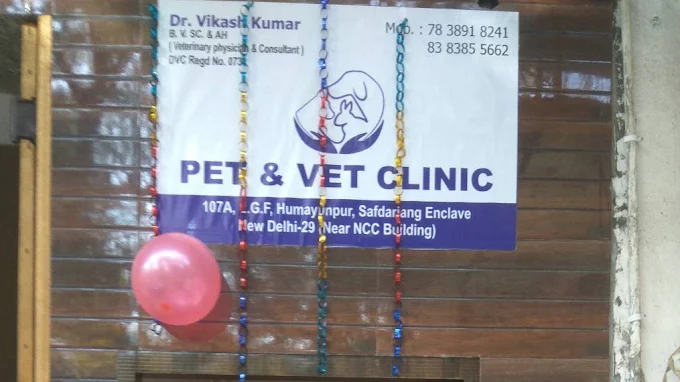 Pet & Vet Clinic, Safdarjung Enclave Veterinary Clinic in Safdarjung Enclave, Delhi — Facility Photo 7