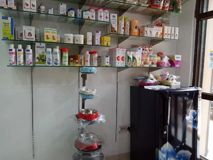 Cosmic Pet Clinic, Safdarjung Enclave Veterinary Clinic in Safdarjung Enclav, Delhi — Facility Photo 5