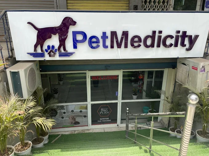 Petmedicity Hospital - Pet Clinic in Pitampura, Delhi