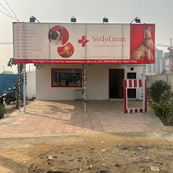 Vetlyf Pet Clinic - Pet Clinic in Sector 89, Gurugram