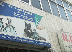 Dr. Vijay Pet Clinic, Ramesh Nagar - Pet Clinic in Ramesh Nagar, Delhi