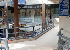 Dr. Anand’s Pets Hospital, Vikaspuri - Pet Clinic in Vikaspuri, Delhi
