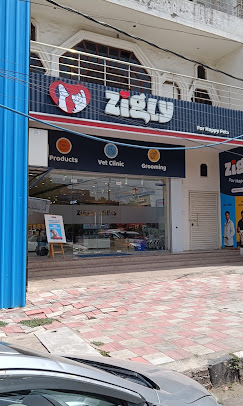 Zigly Vet Clinic, Pitampura - Pet Clinic in Pitampura, Delhi