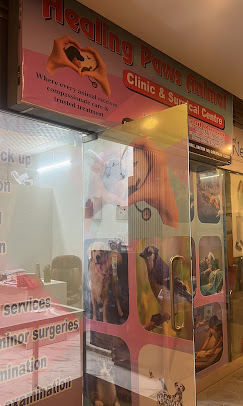 Healing Paws Animal Clinic And Surgical Centre - Pet Clinic in Sector 109, Gurugram