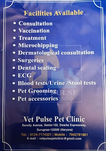 Vet Pulse Pet Clinic Veterinary Clinic in Sector 102, Gurugram — Facility Photo 9