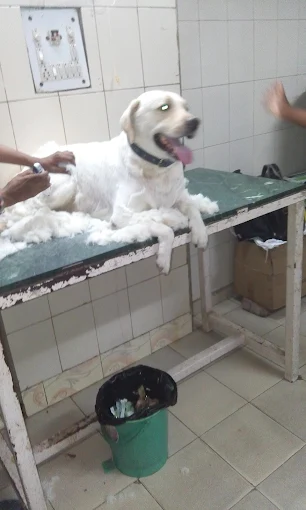 Dog & Cat Clinic, Tri Nagar Veterinary Clinic in Tri Nagar, Delhi — Facility Photo 3