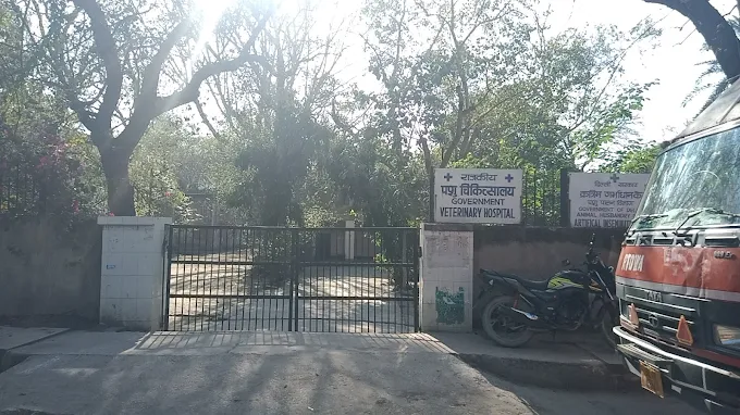 Government Veterinary Hospital, Alipur - Pet Clinic in Alipur, Delhi