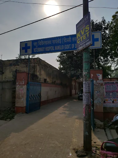 Nangloi Veterinary Hospital Veterinary Clinic in Nangloi, Delhi — Facility Photo 6
