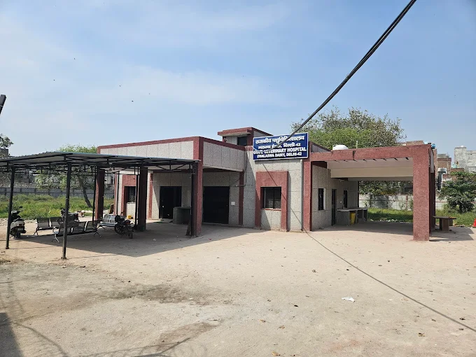 Government Animal hospital, Jahangirpura Veterinary Clinic in Jahangirpura, Delhi — Facility Photo 9