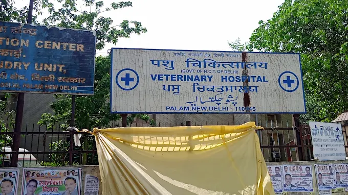 Veterinary Hospital, Mahavir Enclave - Pet Clinic in Mahavir Enclave, Delhi