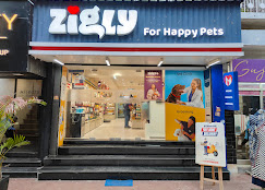 Zigly Pet Care, Green Park - Pet Clinic in Delhi
