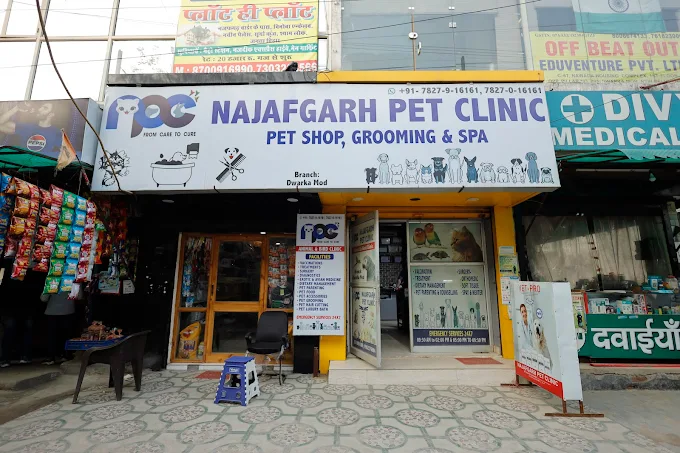Najafgarh Pet Clinic, Nawada - Pet Clinic in Nawada, Delhi