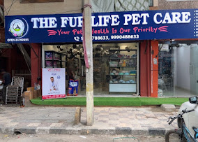 The Fur Life Pet Care, Rohini - Pet Clinic in Rohini, Delhi