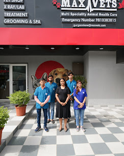 MaxPetZ, Sector 23 - Pet Clinic in Sector 23, Gurugram