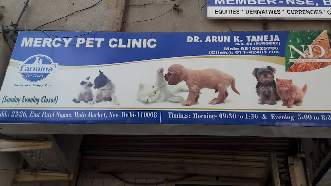 Mercy Pet Care Centre Veterinary Clinic in East Patel Nagar, Delhi — Facility Photo 6