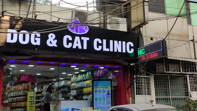 Dog & Cat Clinic, New Friends Colony Veterinary Clinic in New Friends Colony, Delhi — Facility Photo 7