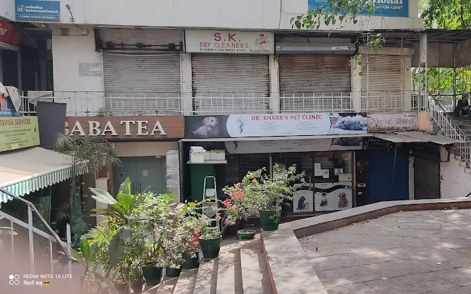 Dr Kharb's Pet Clinic & Surgery - Pet Clinic in Nelson Mandela Marg, Delhi