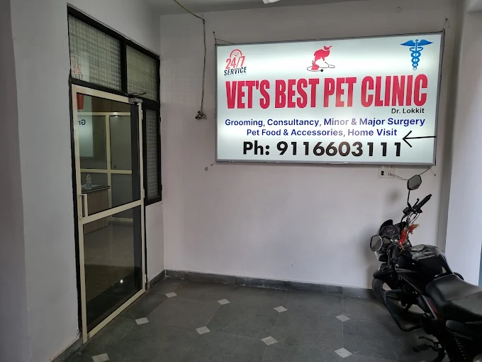 Vet’s Best Pet Clinic Dr. Lokkit Veterinary Clinic in Vasant Kunj, Delhi — Facility Photo 8