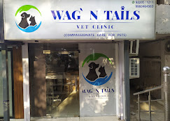 Wag' N Tails Pet Clinic, Vikaspuri - Pet Clinic in Vikaspuri, Delhi