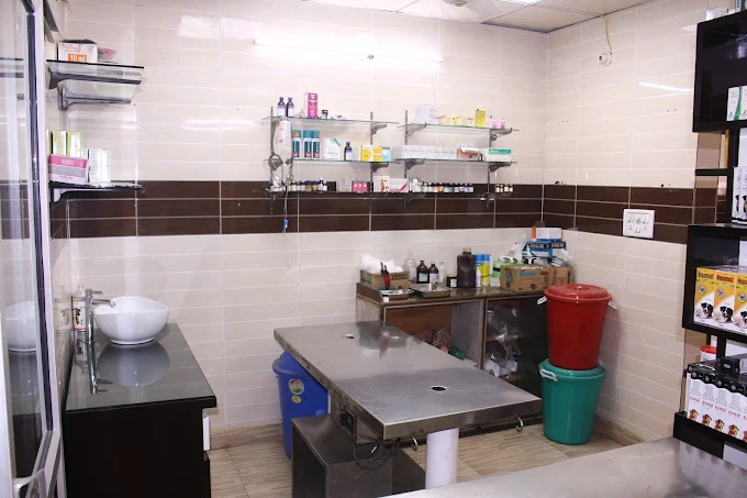 Go4Pets Veterinary Clinic in Rohini, Delhi — Facility Photo 7