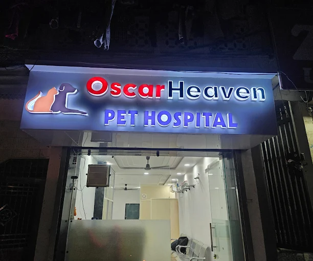 Oscar Heaven Pet Hospital Veterinary Clinic in Rohini, Delhi — Entrance/Facility Photo