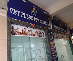 Vet Pulse Pet Clinic - Pet Clinic in Sector 102, Gurugram