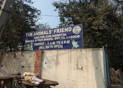 The Animal's Friend - Pet Clinic in Gujranwala Town, Delhi