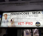 Friendicoes SECA - Pet Clinic in Jungpura Extension, Delhi