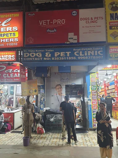 Dog& Pet Clinic, Khyber Lines - Pet Clinic in Khyber Lines, Delhi