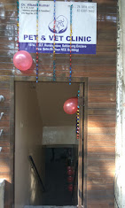 Pet & Vet Clinic, Safdarjung Enclave - Pet Clinic in Safdarjung Enclave, Delhi