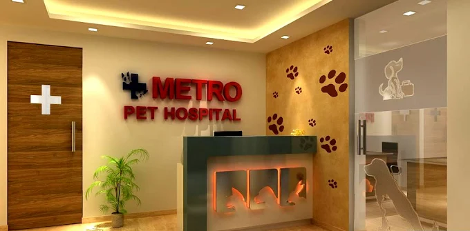 Metro Pet Hospital New Dr Satbir Josan Veterinary Clinic in Sector 23, Gurugram — Facility Photo 4
